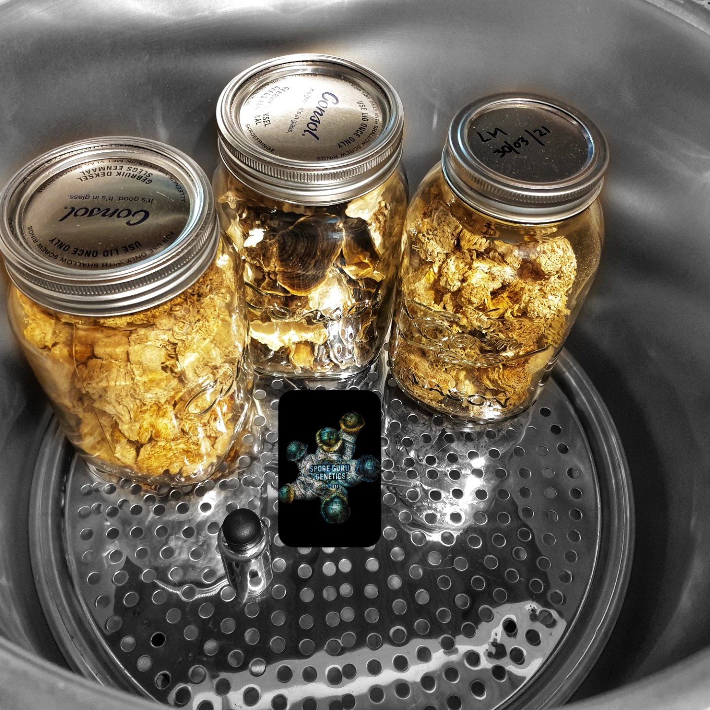 Casio Pressure Canner- 20L - Image 3
