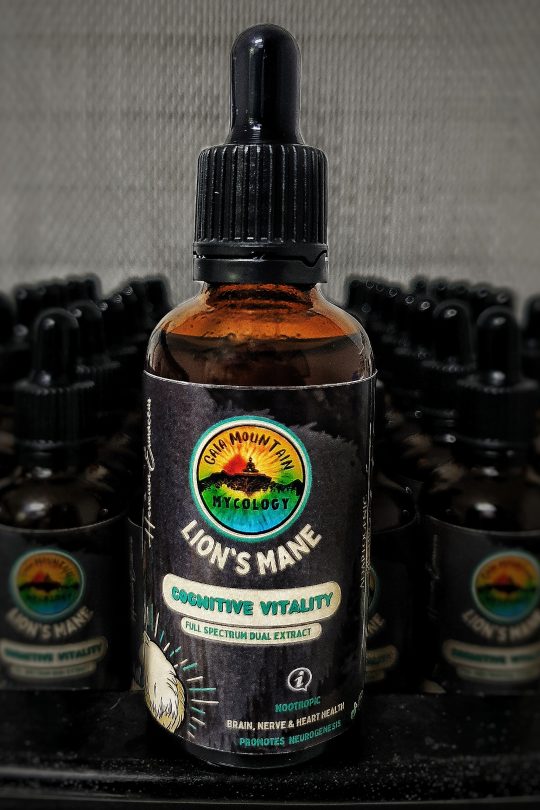 Lion's Mane extracts