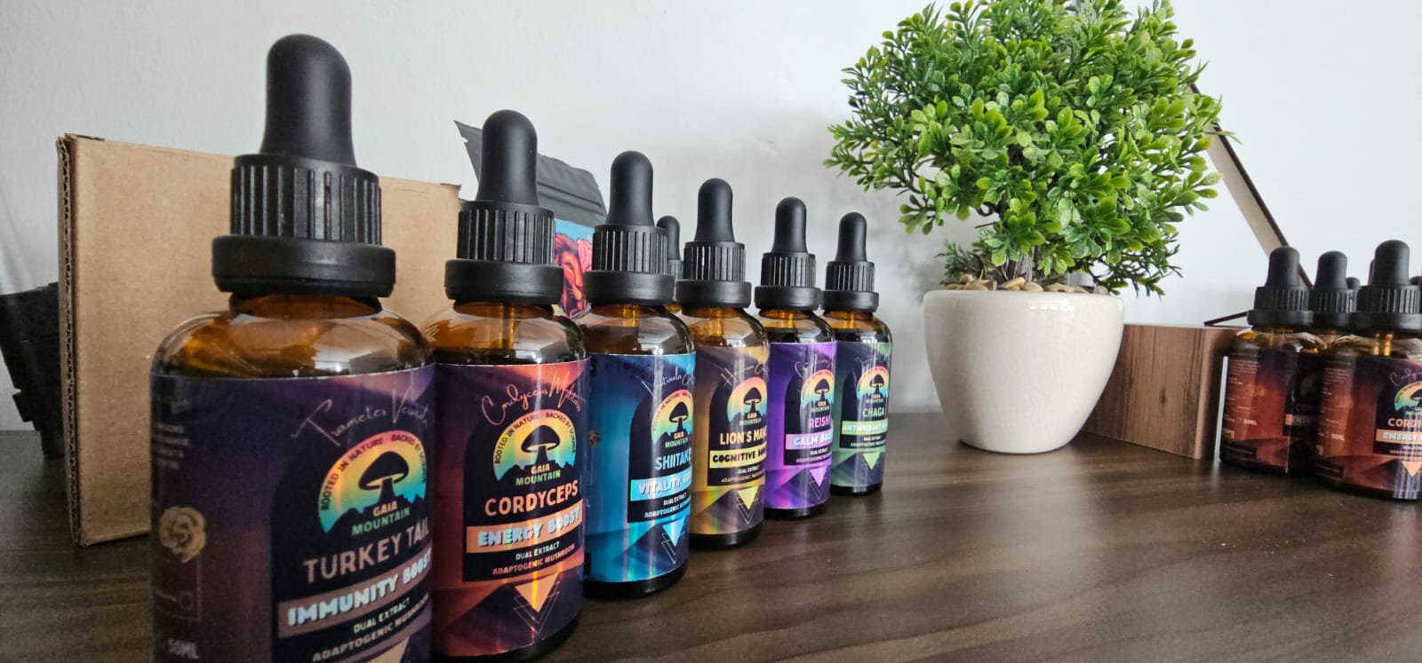 Dual Extract 6th Sense health boost combo - by Gaia Mountain Wellness. 50ml bottles. - Image 2
